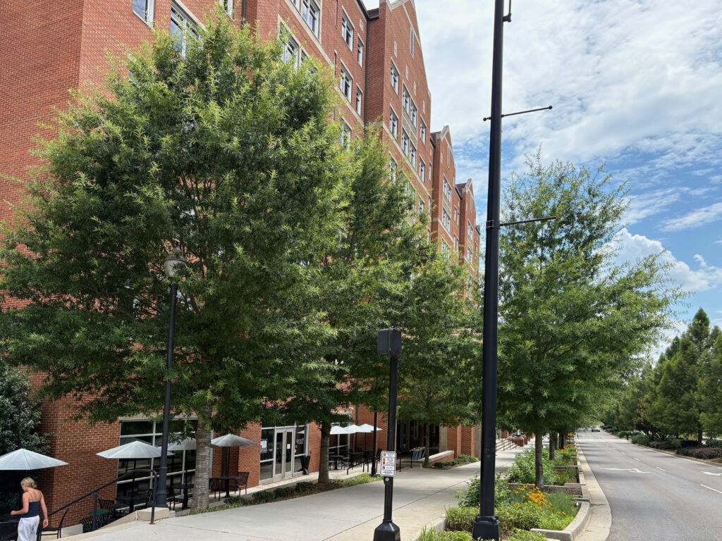 QupheAs1294 – UT Stokely Hall – 6.26.26 (10)e UT - Stokely Hall - Knoxville, TN - Ascendor - After Photo