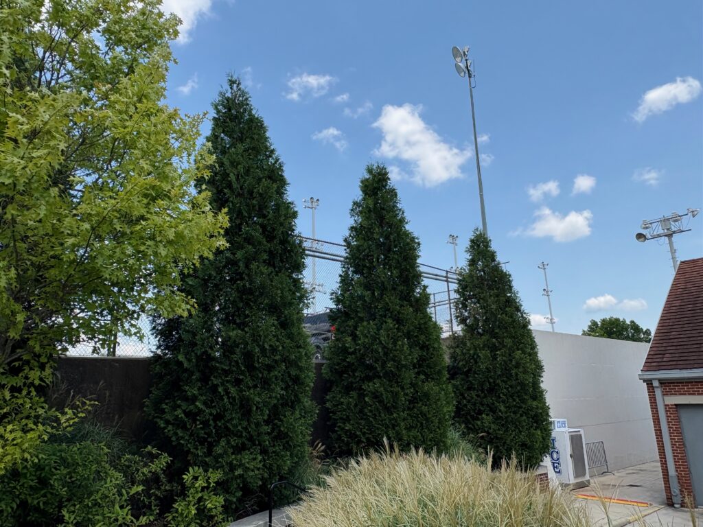 ThxHW – UT Intramural Fields – 06.26.26 (1) UT Intramural Fields - Knoxville, TN - Hetz - After Photo